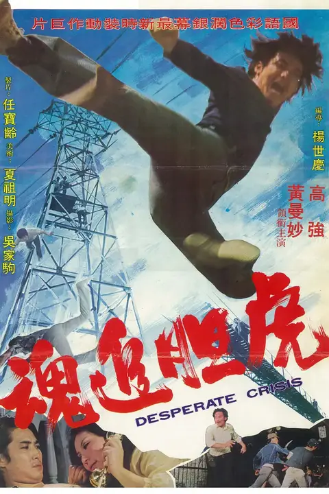 《虎追魂》封面