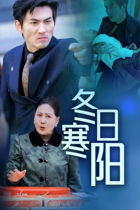 《冬日寒阳》封面