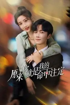 《原来你就是我的命中注定》封面