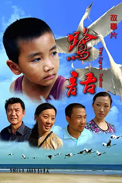 《鹭语》封面
