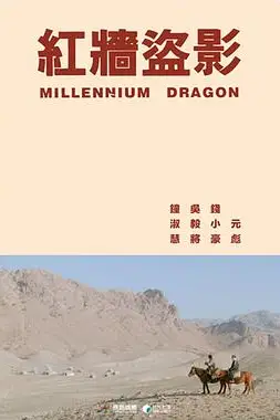 《红墙盗影》封面