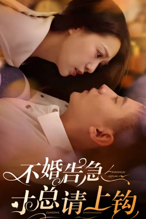 《不婚告急寸总请上钩》封面