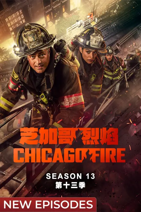 《芝加哥急救 第十三季》封面
