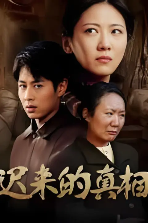 《迟来的真相(因果)》封面