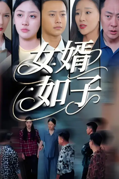 《女婿如子》封面