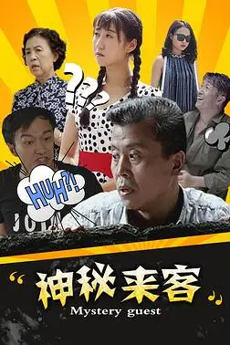 《神秘来客》封面