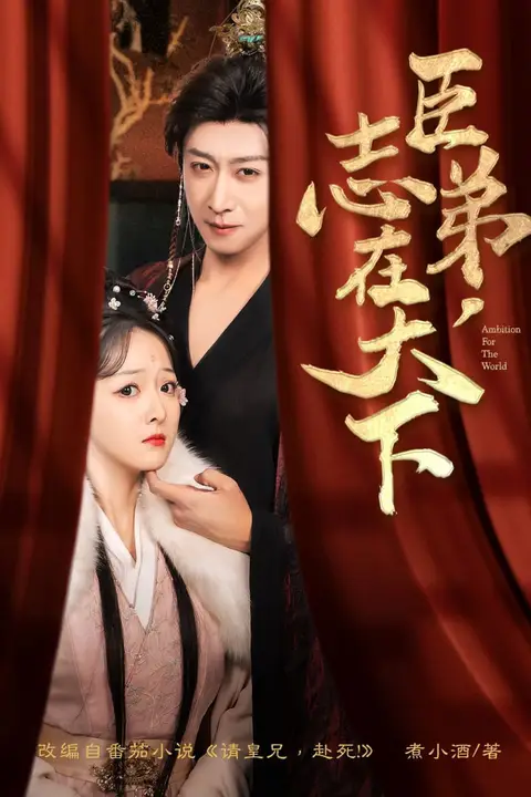 《臣弟，志在天下》封面