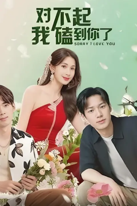 《对不起我磕到你了》封面