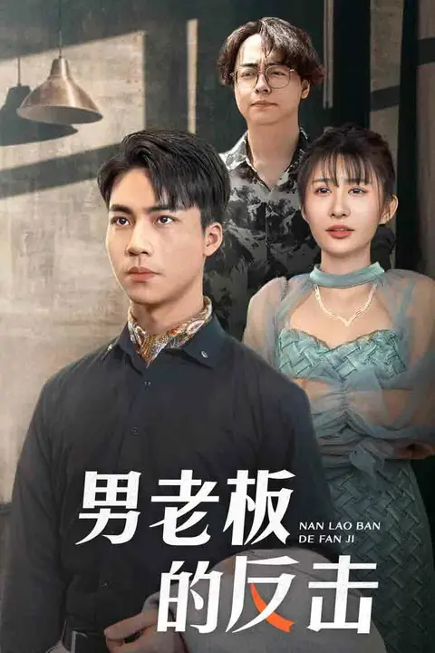 《男老板的反击》封面