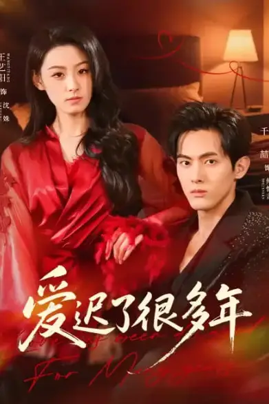 《爱迟了很多年》封面