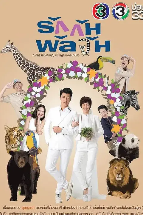 《爱情混战》封面
