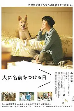 《为你取名的那一天》封面