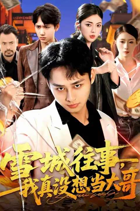 《雪城往事,我真没想当大哥》封面