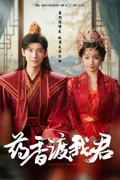《药香渡我君》封面