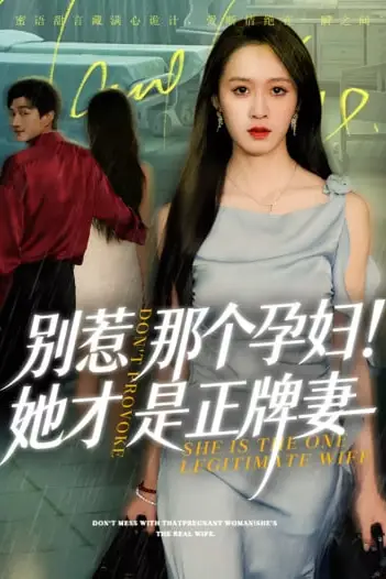 《别惹那个孕妇!她才是正牌妻》封面