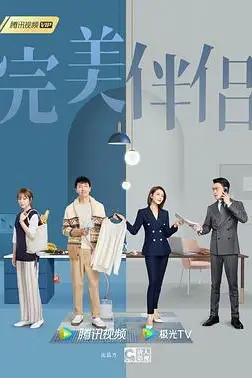 《完美伴侣》封面