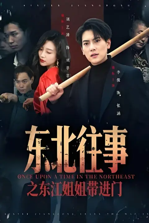 《东北往事之东江姐姐带进门》封面
