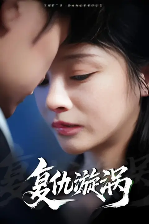 《复仇漩涡》封面