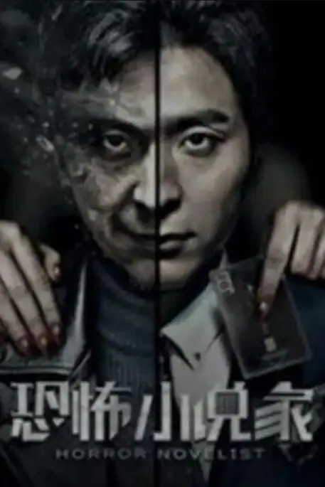 《恐怖小说家》封面