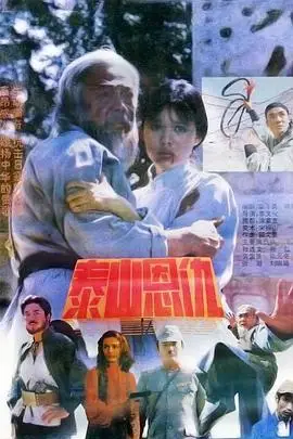《泰山恩仇》封面