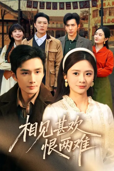 《相见甚欢恨两难》封面