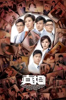 《真相 2011》封面