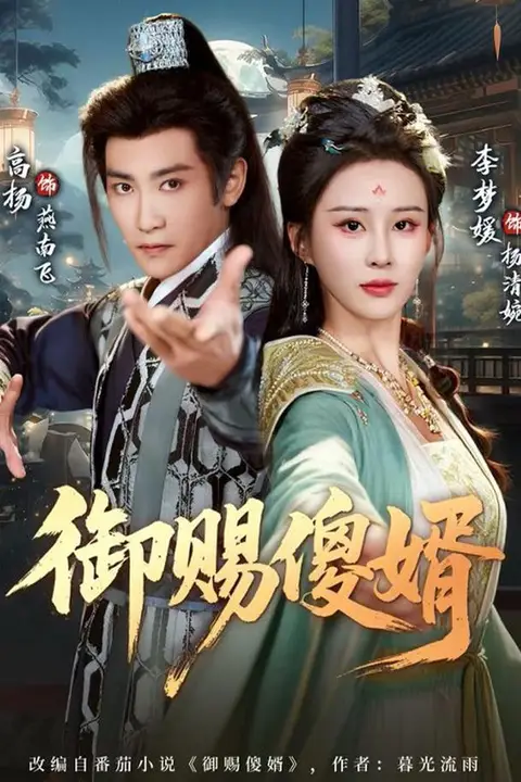 《御赐S婿》封面