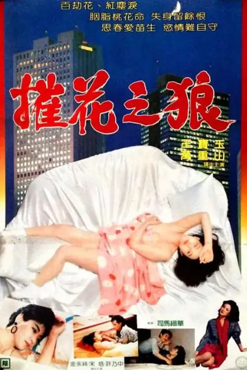 《催花之狼》封面