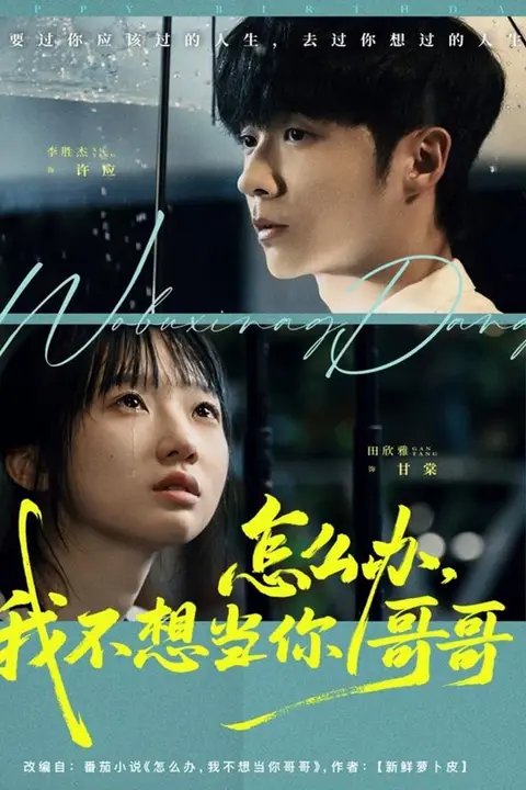 《怎么办,我不想当你哥哥》封面