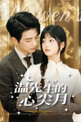 《温先生的心尖月》封面