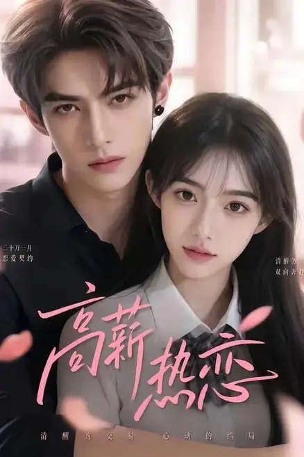 《高薪热恋》封面