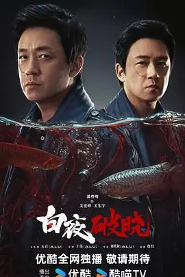 《白夜破晓》封面