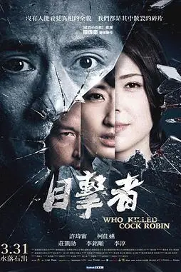 《目击者之追凶》封面