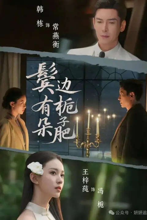 《鬓边有朵栀子肥》封面