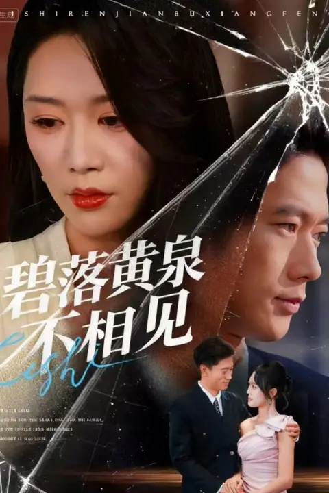 《碧落黄泉不相见》封面