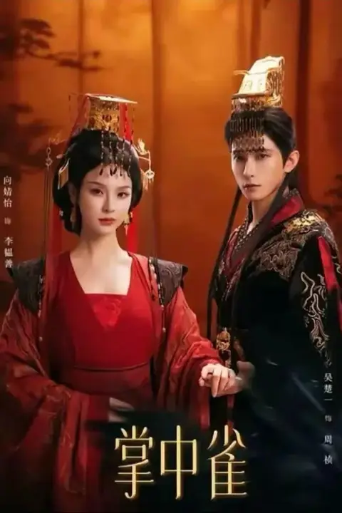 《掌中雀》封面