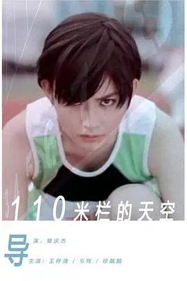 《110米栏的天空》封面