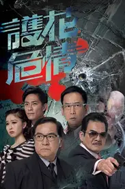 《护花危情》封面