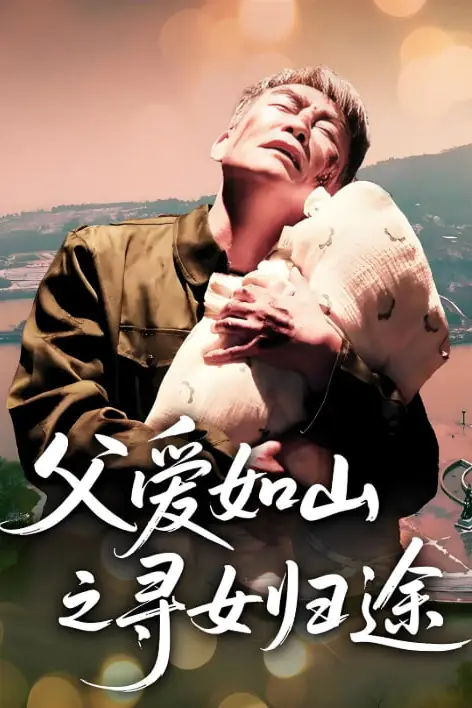《父爱如山之寻女归途》封面