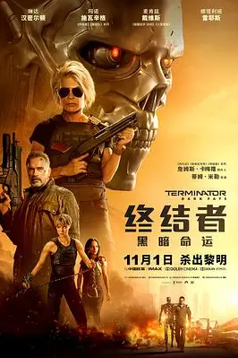 《终结者：黑暗命运（国语版）》封面