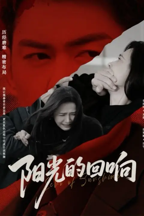 《阳光的回响》封面