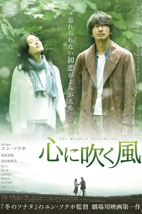 《风吹心头》封面