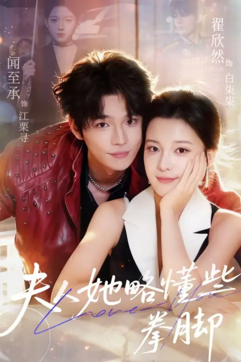 《夫人她略懂些拳脚》封面