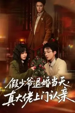 《假少爷退婚当天,真大佬上门认亲》封面