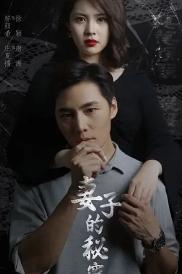 《新:妻子的秘密》封面