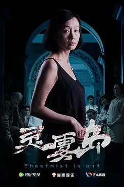 《灵雾岛》封面