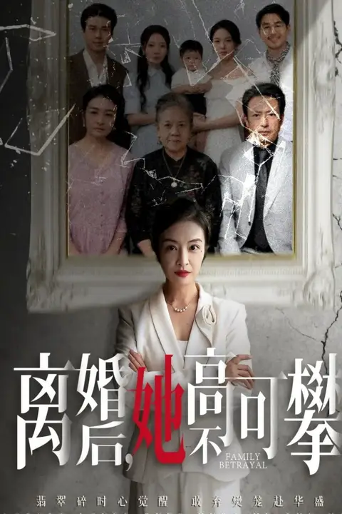 《离婚后她高不可攀(至亲之人伤我最深)》封面