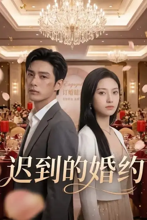 《迟到的婚约》封面