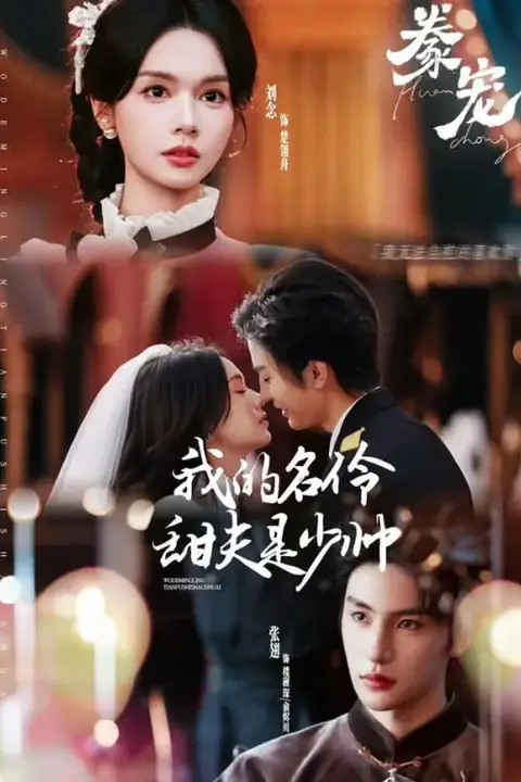 《豢宠:我的名伶甜夫是少帅》封面