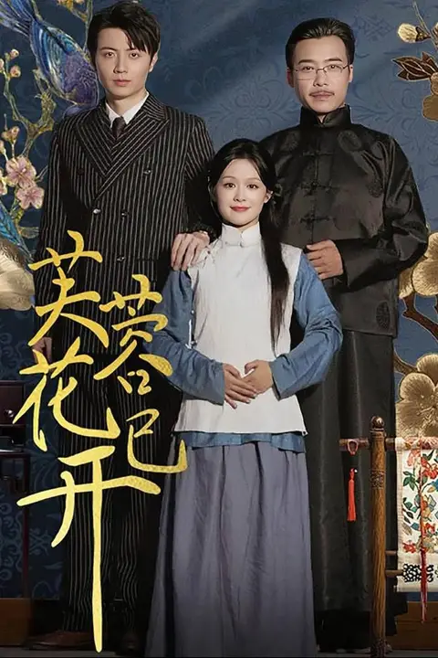 《芙蓉花已开》封面